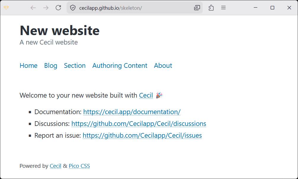 New website example
