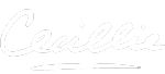 studio cecillie